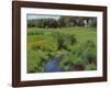 The Pool-Dennis Miller Bunker-Framed Art Print