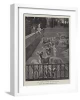 The Pope's Herd of Mouflons-Harry Hamilton Johnston-Framed Giclee Print