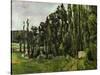 The Poplars, 1879-1882-Paul Cézanne-Stretched Canvas