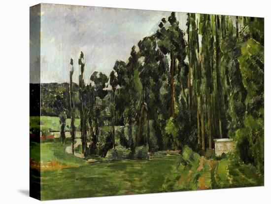 The Poplars, 1879-1882-Paul Cézanne-Stretched Canvas