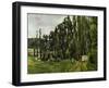 The Poplars, 1879-1882-Paul Cézanne-Framed Giclee Print