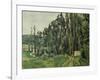 The Poplars, C. 1879-1882-Paul Cézanne-Framed Giclee Print