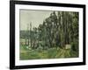 The Poplars, C. 1879-1882-Paul Cézanne-Framed Giclee Print