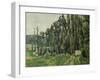 The Poplars, C. 1879-1882-Paul Cézanne-Framed Giclee Print