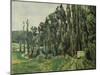 The Poplars, C. 1879-1882-Paul Cézanne-Mounted Giclee Print