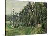 The Poplars, C. 1879-1882-Paul Cézanne-Stretched Canvas