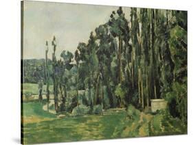 The Poplars, C. 1879-1882-Paul Cézanne-Stretched Canvas