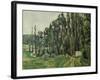 The Poplars, C. 1879-1882-Paul Cézanne-Framed Giclee Print