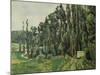 The Poplars, C. 1879-1882-Paul Cézanne-Mounted Giclee Print