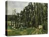 The Poplars, c.1879-82-Paul Cézanne-Stretched Canvas