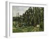 The Poplars, c.1879-82-Paul Cézanne-Framed Giclee Print