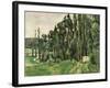 The Poplars, circa 1879-82-Paul Cézanne-Framed Giclee Print