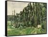 The Poplars, circa 1879-82-Paul Cézanne-Framed Stretched Canvas