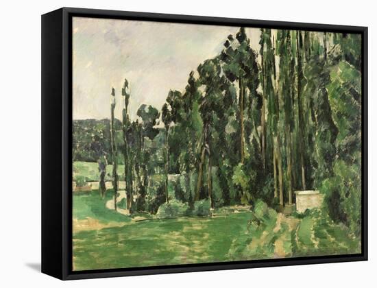 The Poplars, circa 1879-82-Paul Cézanne-Framed Stretched Canvas