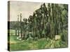 The Poplars, circa 1879-82-Paul Cézanne-Stretched Canvas