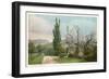 The Poplars, Jackson, New Hampshire-null-Framed Art Print