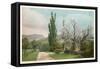 The Poplars, Jackson, New Hampshire-null-Framed Stretched Canvas