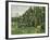 The Poplars (Les Peupliers)-Paul C?zanne-Framed Art Print