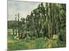 The Poplars (Les Peupliers)-Paul C?zanne-Mounted Art Print