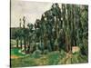 The Poplars-Paul Cézanne-Stretched Canvas