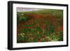 The Poppy Field, 1896-Paul von Szinyei-Merse-Framed Giclee Print