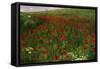 The Poppy Field, 1896-Paul von Szinyei-Merse-Framed Stretched Canvas