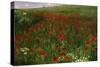 The Poppy Field, 1896-Paul von Szinyei-Merse-Stretched Canvas