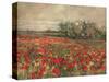 'The Poppy Field', c1900, (c1915)-George Hitchcock-Stretched Canvas