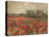 'The Poppy Field', c1900, (c1915)-George Hitchcock-Stretched Canvas