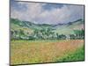 The Poppy Field Near Giverny, 1885-Claude Monet-Mounted Premium Giclee Print