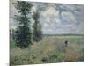 The Poppy Field-Claude Monet-Mounted Giclee Print