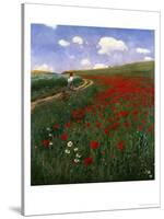 The Poppy Field-Paul von Szinyei-Merse-Stretched Canvas