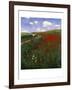 The Poppy Field-Paul von Szinyei-Merse-Framed Giclee Print