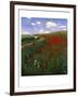 The Poppy Field-Paul von Szinyei-Merse-Framed Giclee Print