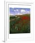 The Poppy Field-Paul von Szinyei-Merse-Framed Giclee Print