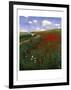 The Poppy Field-Paul von Szinyei-Merse-Framed Giclee Print