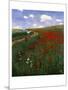 The Poppy Field-Paul von Szinyei-Merse-Mounted Giclee Print