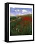 The Poppy Field-Paul von Szinyei-Merse-Framed Stretched Canvas