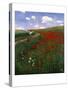 The Poppy Field-Paul von Szinyei-Merse-Stretched Canvas