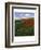 The Poppy Field-Paul von Szinyei-Merse-Framed Giclee Print