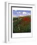 The Poppy Field-Paul von Szinyei-Merse-Framed Giclee Print