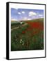 The Poppy Field-Paul von Szinyei-Merse-Framed Stretched Canvas