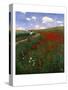 The Poppy Field-Paul von Szinyei-Merse-Stretched Canvas