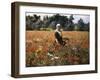 The Poppy Field-George Hitchcock-Framed Giclee Print