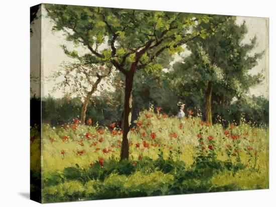 The Poppy Field-Alphonse Asselbergs-Stretched Canvas