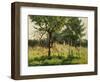 The Poppy Field-Alphonse Asselbergs-Framed Giclee Print