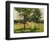 The Poppy Field-Alphonse Asselbergs-Framed Giclee Print