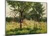 The Poppy Field-Alphonse Asselbergs-Mounted Giclee Print