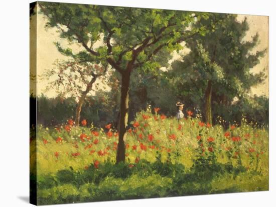 The Poppy Field-Alphonse Asselbergs-Stretched Canvas