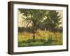 The Poppy Field-Alphonse Asselbergs-Framed Giclee Print